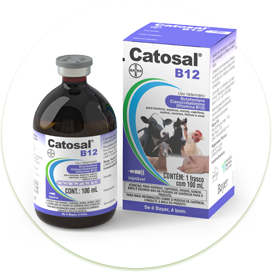 catosal