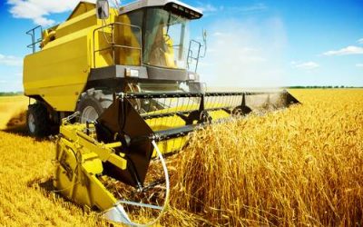 Importância da Agropecuária Brasileira