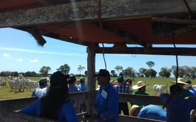 Dia de Campo na fazenda Novo Horizonte, no município de Miranda-MS